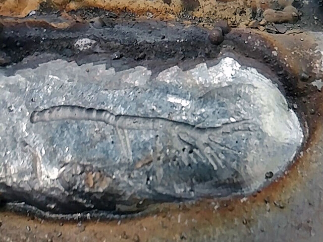 Problem #2: Porosity and worm tracking